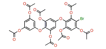 Bromotriphlorethol A2 heptaacetate